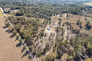 2190 NE 130th Ave, Williston, FL 32696 - Photo 43