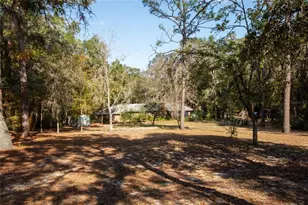 730 State Road 26, Melrose, FL 32666 - Photo 5