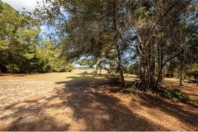 730 State Road 26, Melrose, FL 32666 - Photo 19