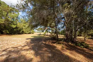 730 State Road 26, Melrose, FL 32666 - Photo 19