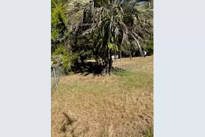 126 Yeatts Avenue, Interlachen, FL 32148 - Photo 5