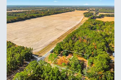 3780 NW County Road 340, Bell, FL 32619 - Photo 5