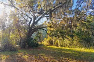 191 Slaughter Rd, Palatka, FL 32177 - Photo 55