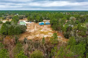 11751 NE 105th Ave, Archer, FL 32618 - Photo 17