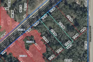 0 E Thrasher Dr, Bronson, FL 32621 - Photo 1