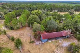 4905 SE 109th St, Starke, FL 32091 - Photo 51