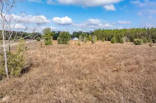 0 NW Milo Terrace, Lake City, FL 32055 - Photo 43