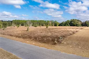 0 NW Milo Terrace, Lake City, FL 32055 - Photo 41