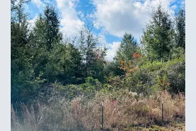 0 NW 126 Street, Chiefland, FL 32626 - Photo 1