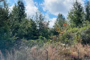 0 NW 126 St, Chiefland, FL 32626 - Photo 1