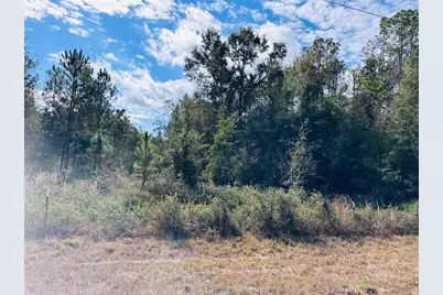 0 NW 126 Street, Chiefland, FL 32626 - Photo 7