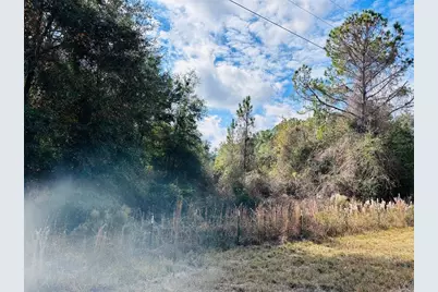 0 NW 126 Street, Chiefland, FL 32626 - Photo 5