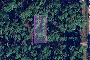 136 Hazel Ave, Georgetown, FL 32139 - Photo 1