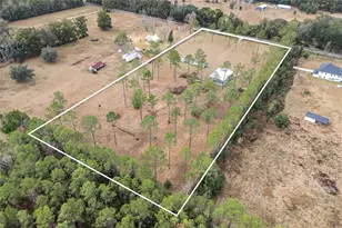 14421 NW 214th Terrace, High Springs, FL 32643 - Photo 29