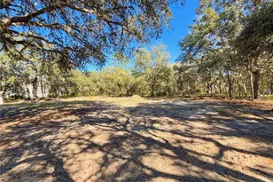 8191 NE 118 Terrace, Bronson, FL 32621 - Photo 17