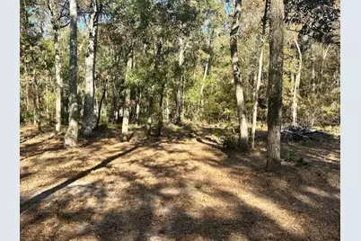 1058 NW 78th Avenue, Bell, FL 32619 - Photo 11