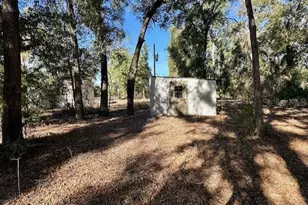 4969 NW 32nd Pl, Bell, FL 32619 - Photo 27