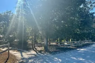 4969 NW 32nd Pl, Bell, FL 32619 - Photo 25