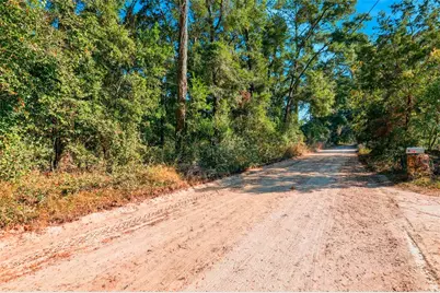 000 NE 40th Street, Williston, FL 32696 - Photo 9