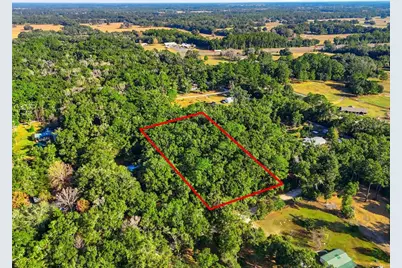 000 NE 40th Street, Williston, FL 32696 - Photo 3