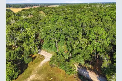 000 NE 40th Street, Williston, FL 32696 - Photo 7