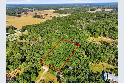 000 NE 40th Street, Williston, FL 32696 - Photo 1