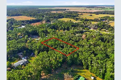 000 NE 40th Street, Williston, FL 32696 - Photo 5