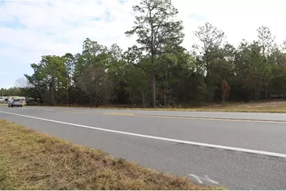7049 State Road 21, Keystone Heights, FL 32656 - Photo 3