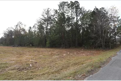 7049 State Road 21, Keystone Heights, FL 32656 - Photo 13