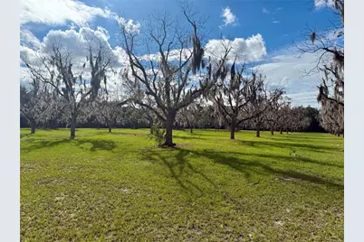 23915 NE State Rd 26, Melrose, FL 32666 - Photo 41