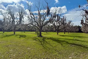 23915 NE State Rd 26, Melrose, FL 32666 - Photo 41