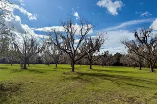 23915 NE State Rd 26, Melrose, FL 32666 - Photo 43