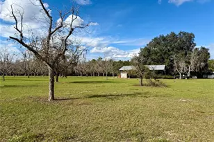 23915 NE State Rd 26, Melrose, FL 32666 - Photo 39