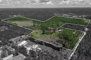 501 Duncan Ln NE, Steinhatchee, FL 32359 - Photo 47