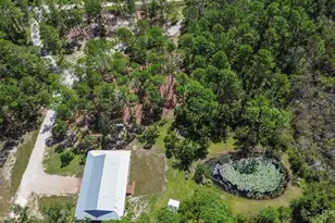 501 Duncan Ln NE, Steinhatchee, FL 32359 - Photo 41