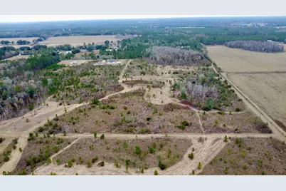 Tbd Cr 235, Brooker, FL 32622 - Photo 9