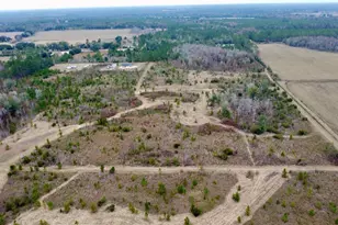 Tbd Cr 235, Brooker, FL 32622 - Photo 9