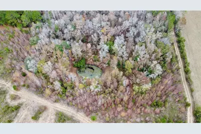 Tbd Cr 235, Brooker, FL 32622 - Photo 13