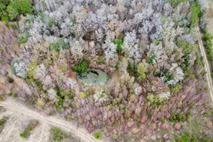 Tbd Cr 235, Brooker, FL 32622 - Photo 13