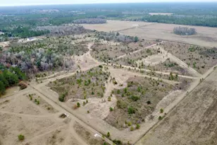 Tbd Cr 235, Brooker, FL 32622 - Photo 11