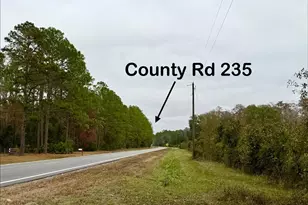 Tbd Cr 235, Brooker, FL 32622 - Photo 15