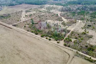 Tbd Cr 235, Brooker, FL 32622 - Photo 5