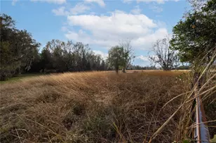 29716 NW County Road 241, Alachua, FL 32615 - Photo 17