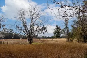 29716 NW County Road 241, Alachua, FL 32615 - Photo 19