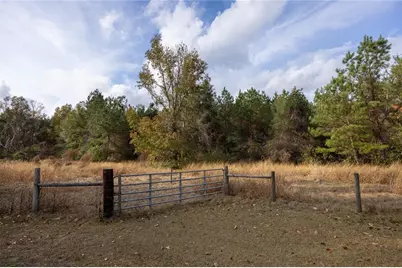 29716 NW County Road 241, Alachua, FL 32615 - Photo 15