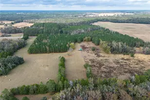 29716 NW County Road 241, Alachua, FL 32615 - Photo 5