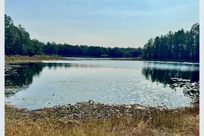 313 White Sands Beaches Drive, Hawthorne, FL 32640 - Photo 39