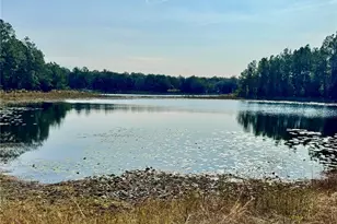 313 White Sands Beaches Dr, Hawthorne, FL 32640 - Photo 39