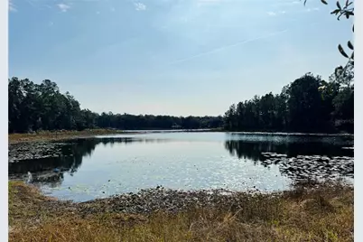 313 White Sands Beaches Drive, Hawthorne, FL 32640 - Photo 33