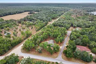 11109 SE 224 Terrace, Hawthorne, FL 32640 - Photo 39